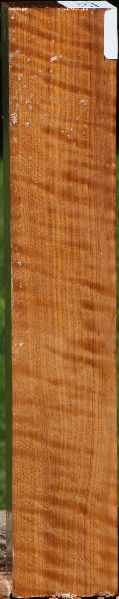 Exhibition Asian Satinwood Turning Square