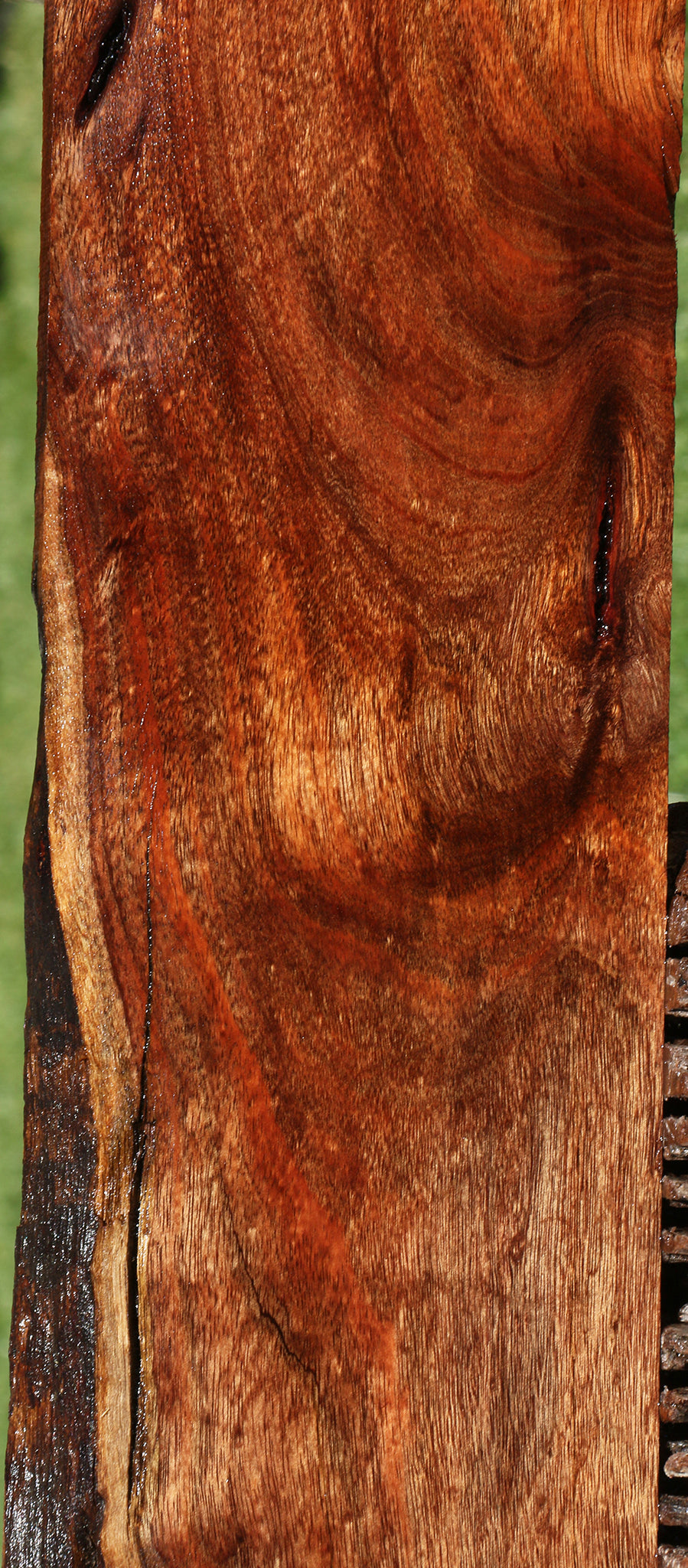 Extra Fancy Silver Wattle Live Edge Lumber