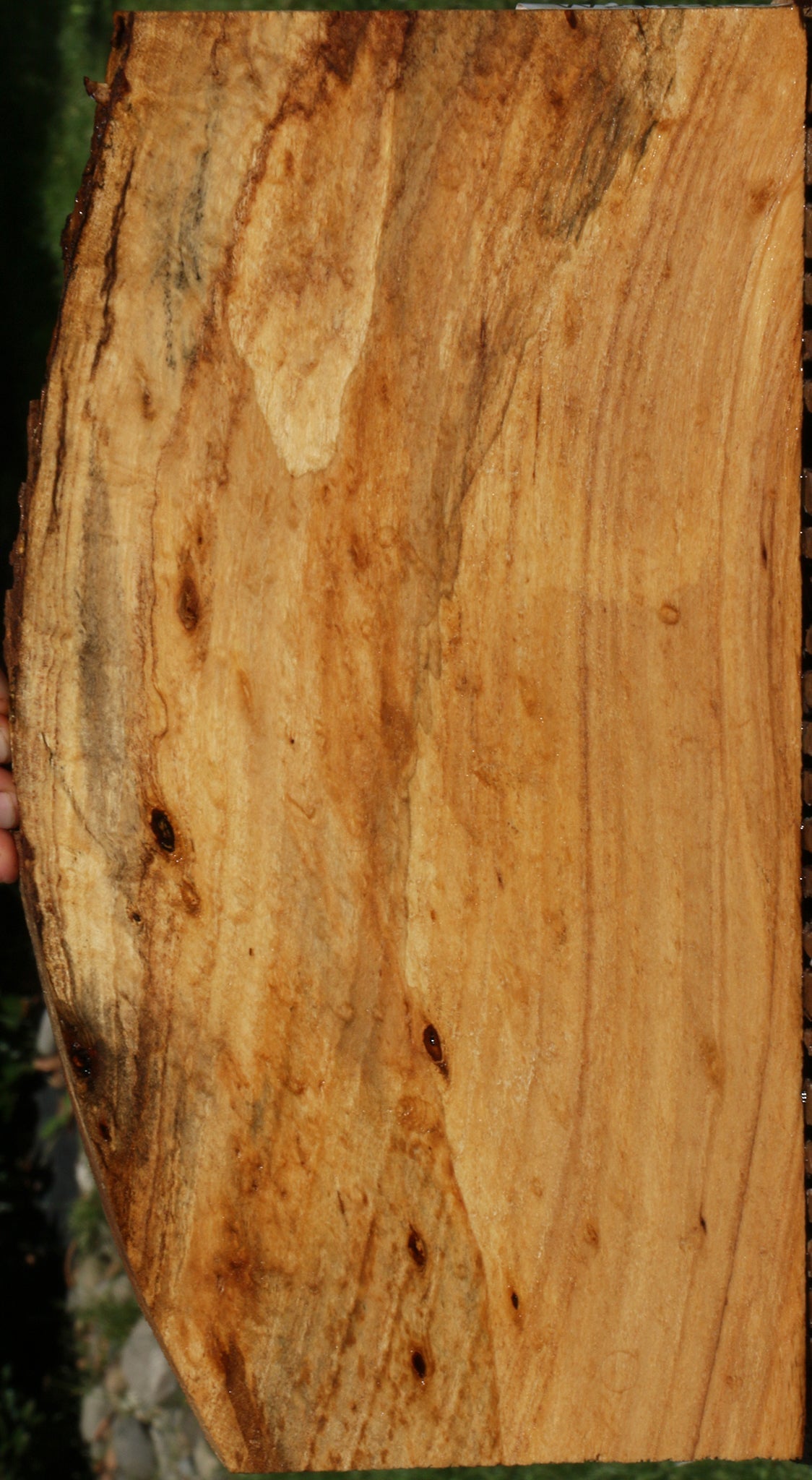 Extra Fancy Silver Wattle Live Edge Lumber