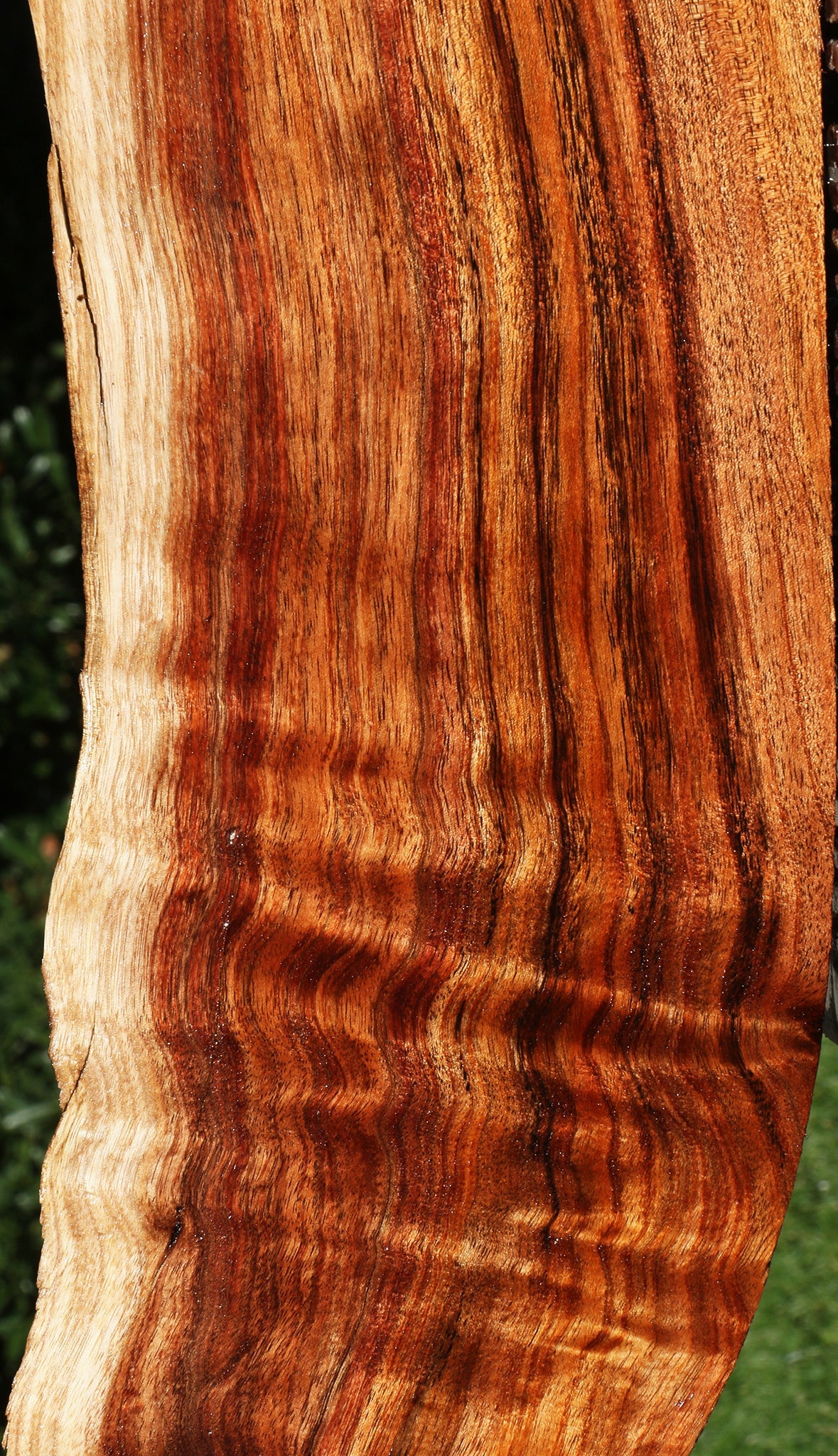 Figured Silver Wattle Live Edge Lumber