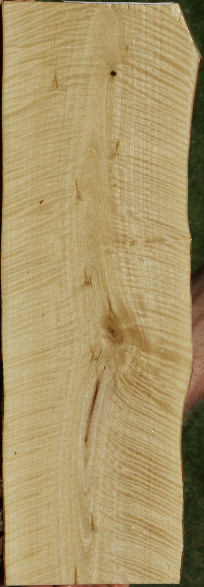 Exhibition Crepe Myrtle Live Edge Lumber