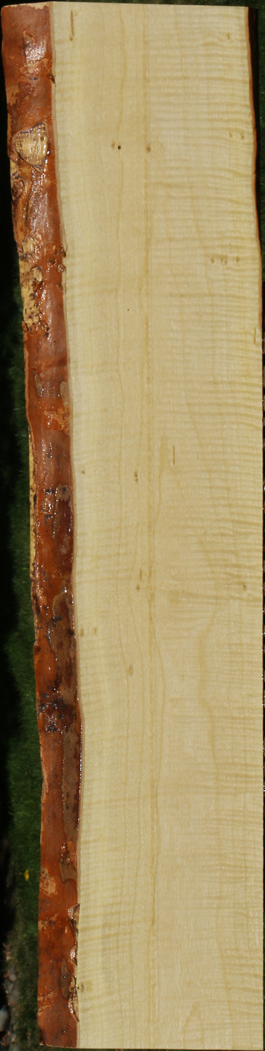 Exhibition Crepe Myrtle Live Edge Lumber
