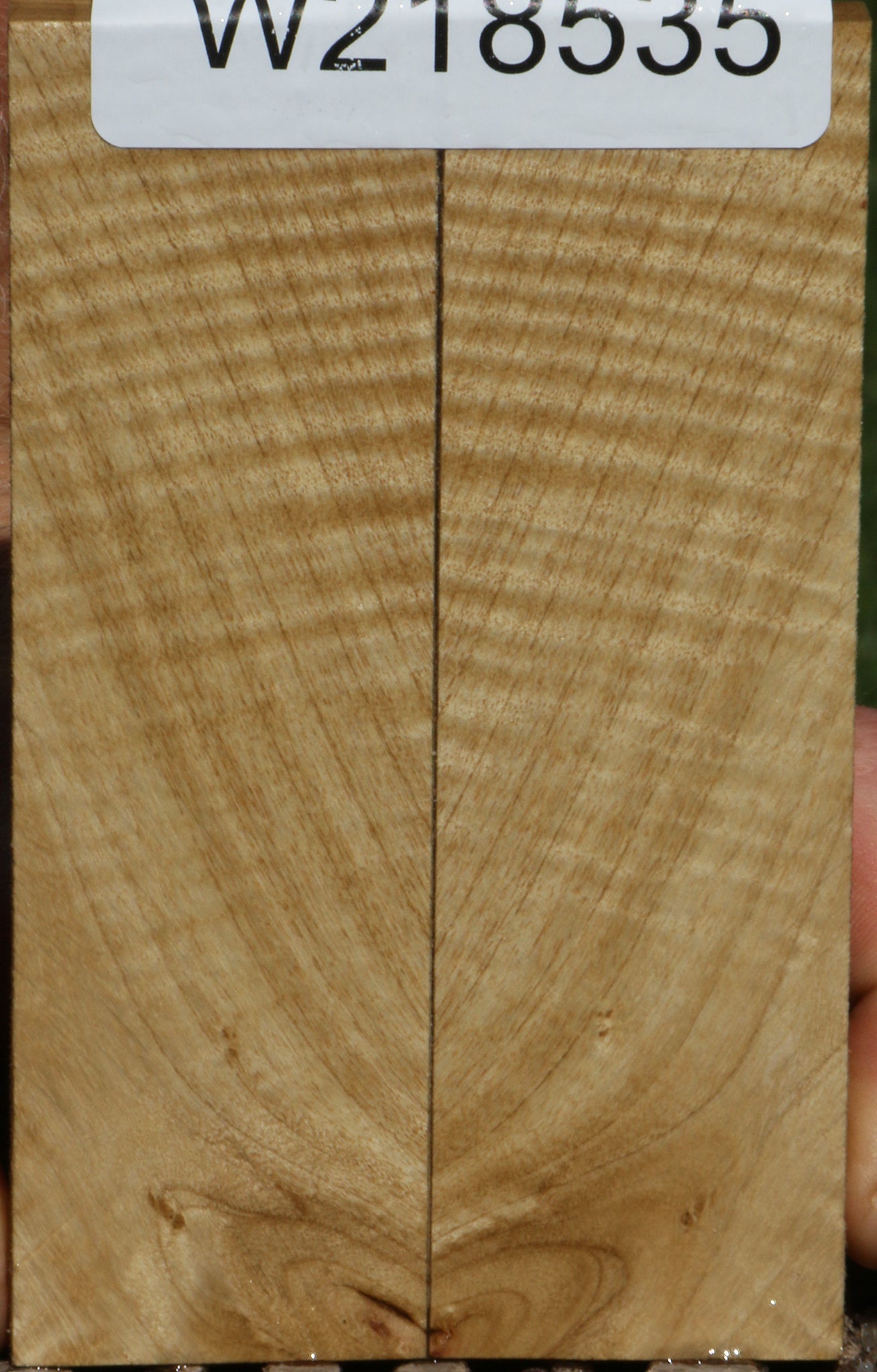 Exhibition Crepe Myrtle Knife Scales