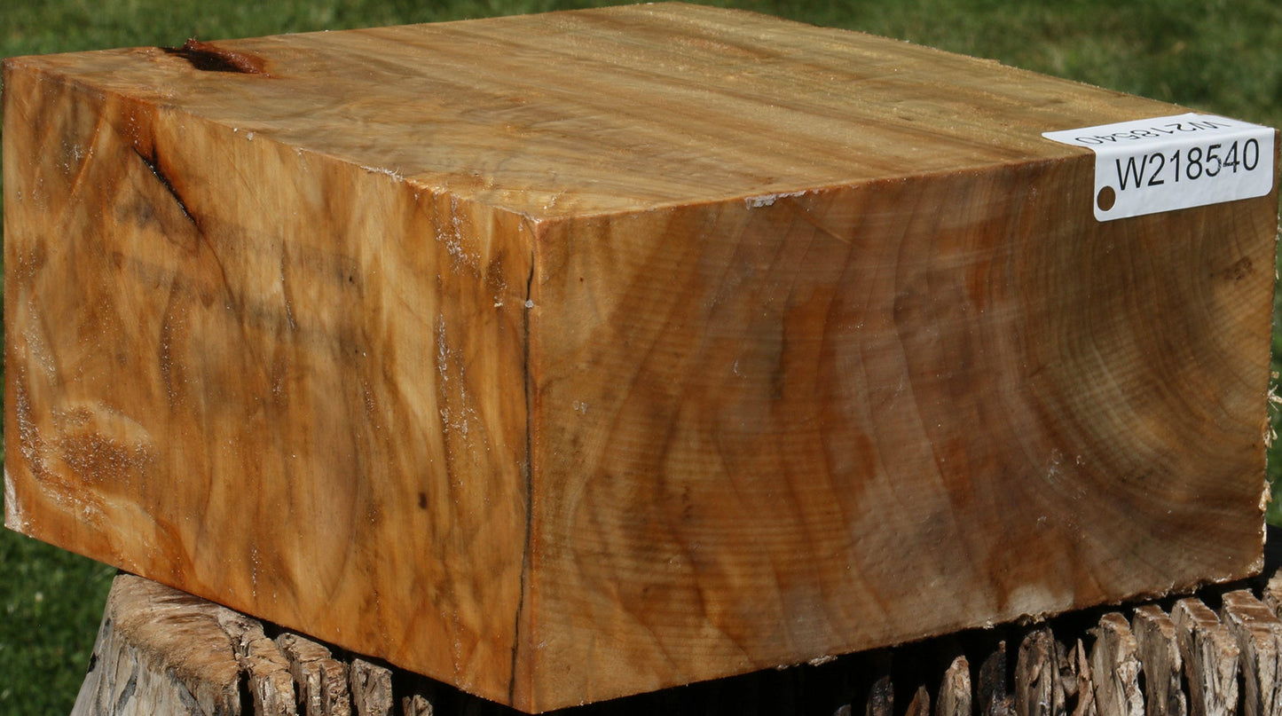 Extra Fancy Black Cottonwood Bowl Blank