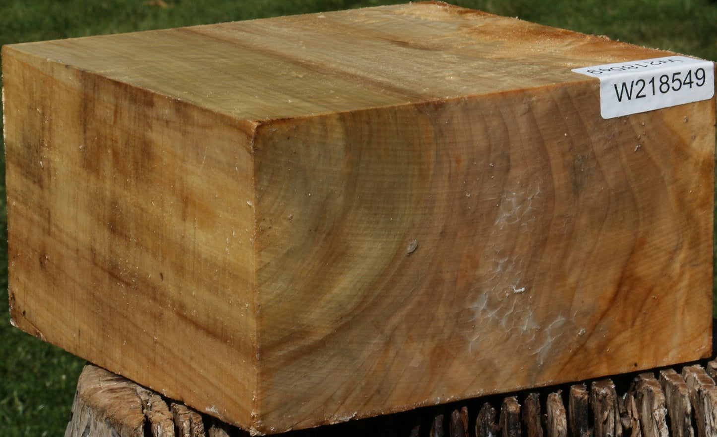 Figured Black Cottonwood Bowl Blank