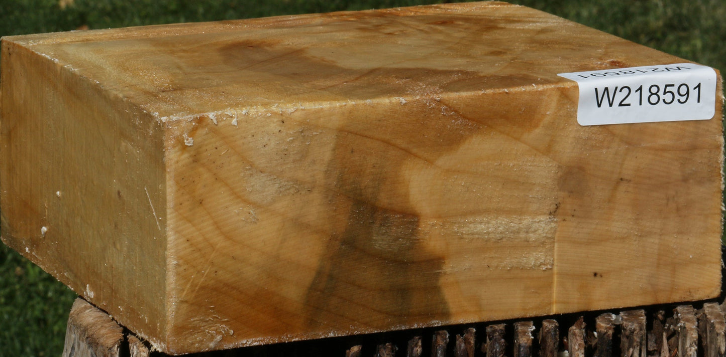 Figured Black Cottonwood Bowl Blank