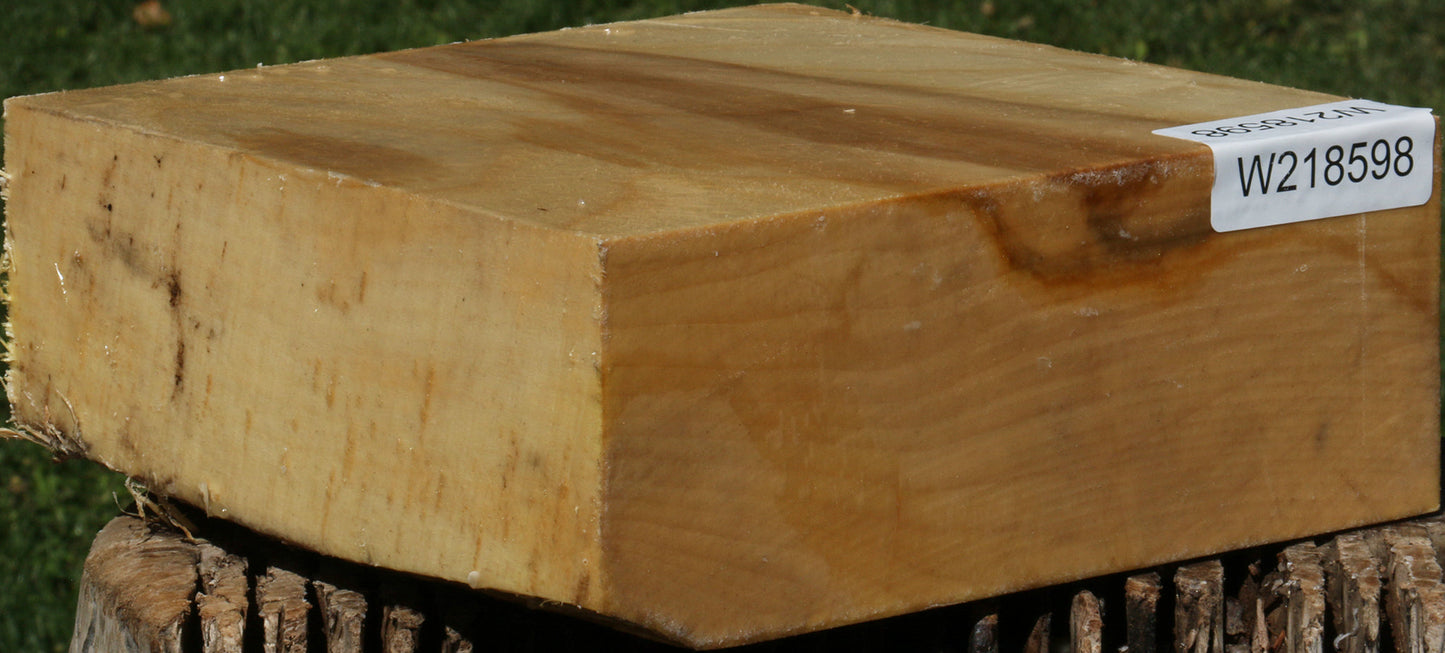 Black Cottonwood Bowl Blank