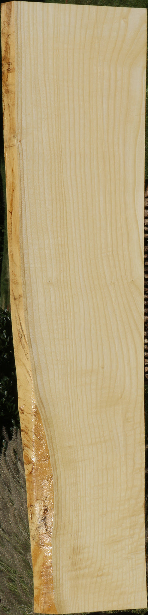 Figured French Ash Live Edge Lumber