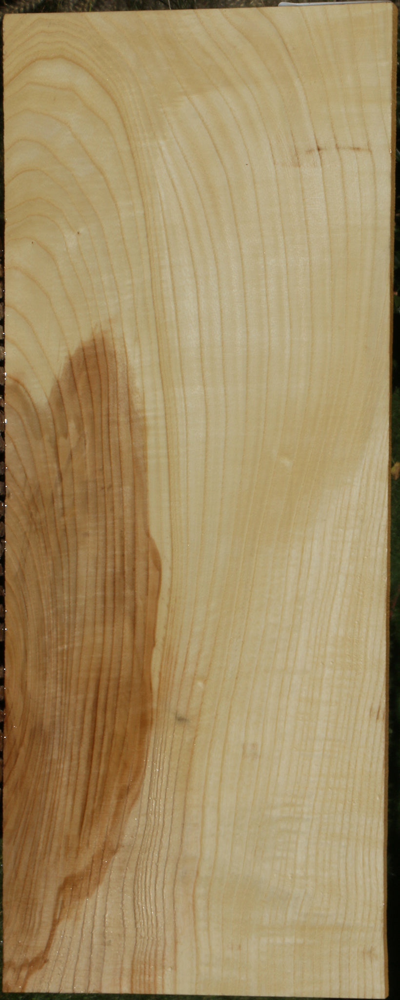 Extra Fancy Fiddleback French Ash Lumber