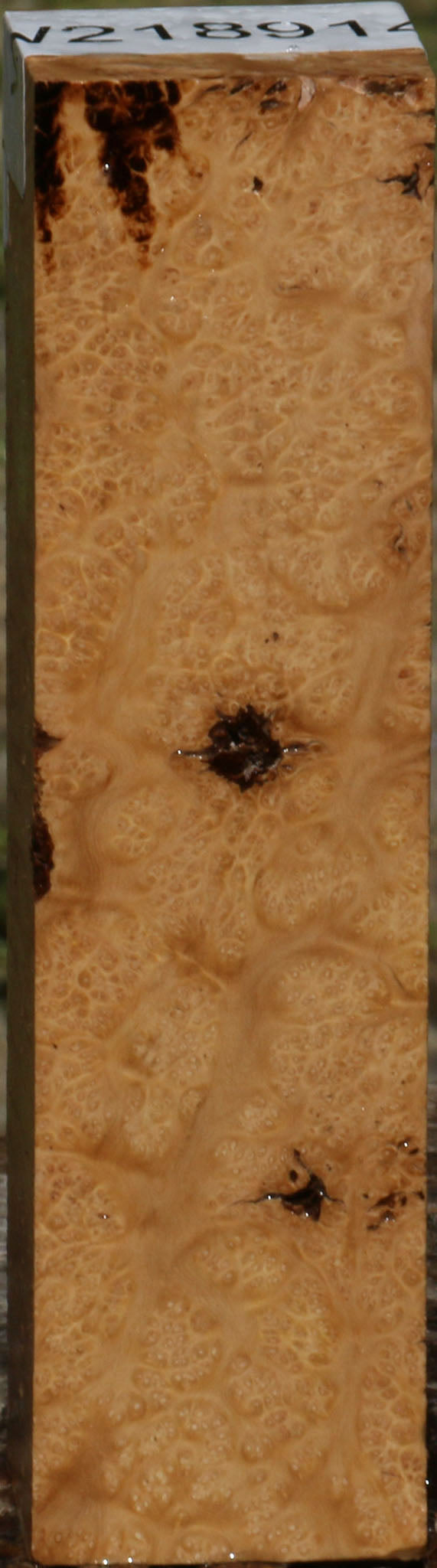 Kanista Burl Turning Blank