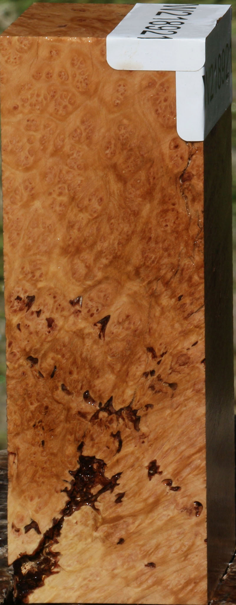 Figured Kanista Burl Turning Square