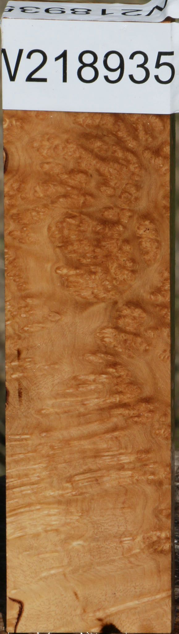 Kanista Burl Turning Blank