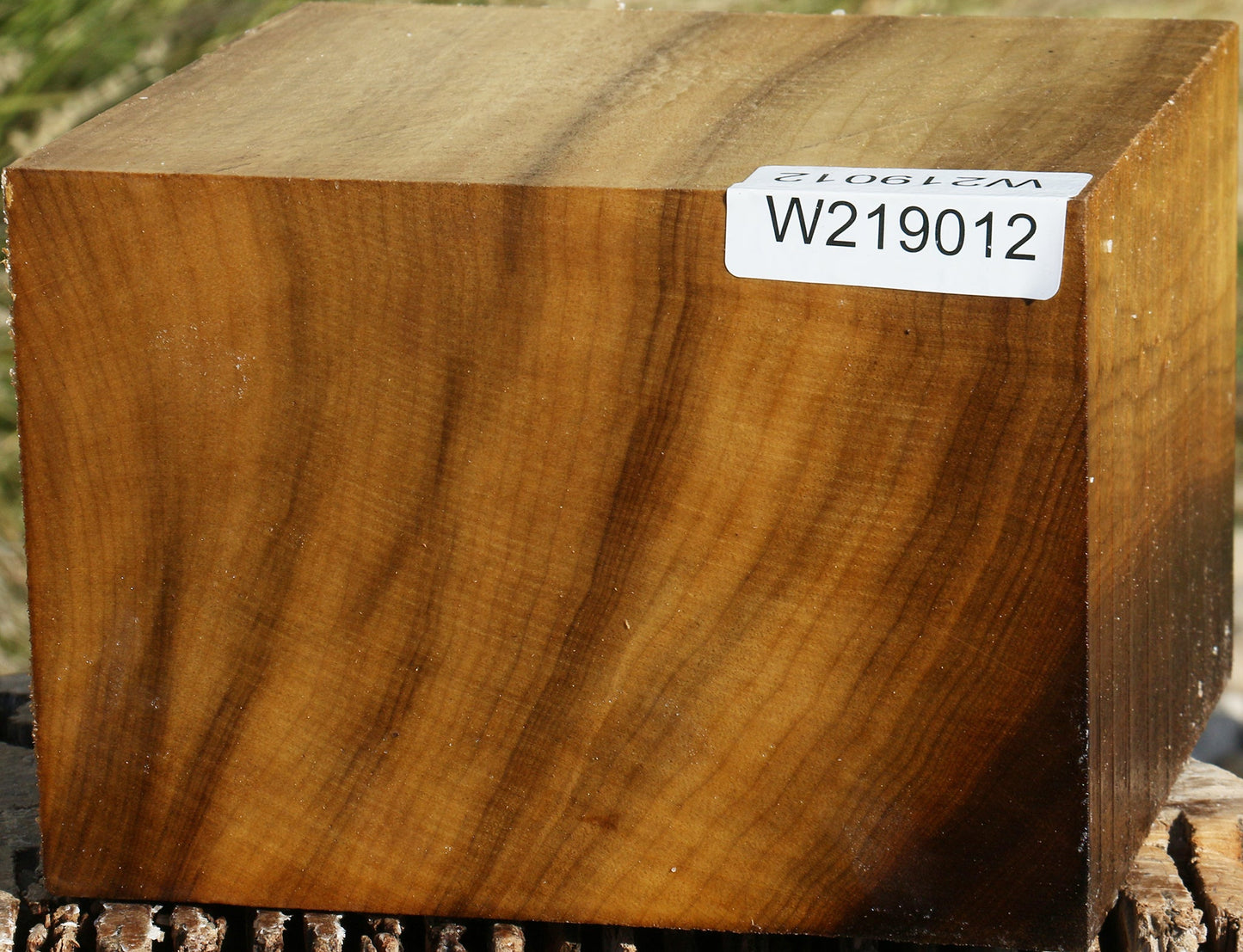 Extra Fancy Gold Myrtle Bowl Blank