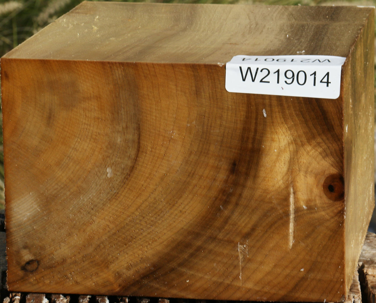 Gold Myrtle Bowl Blank