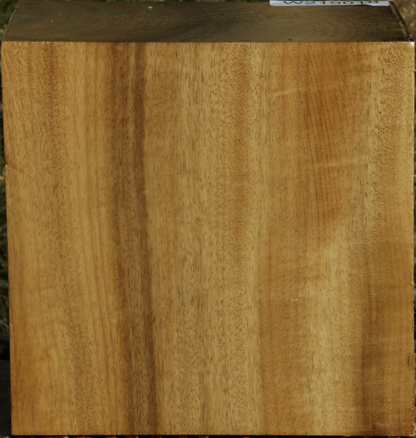 Figured Gold Myrtle Bowl Blank