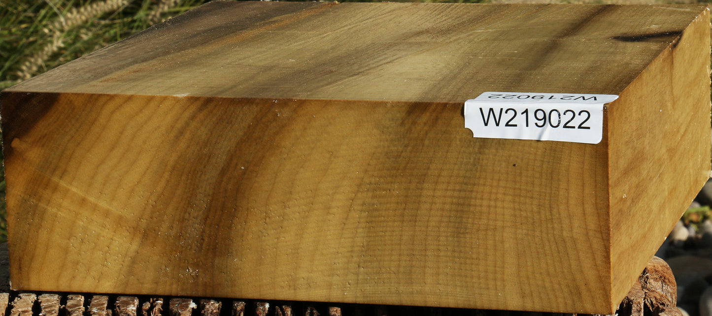 Figured Gold Myrtle Bowl Blank