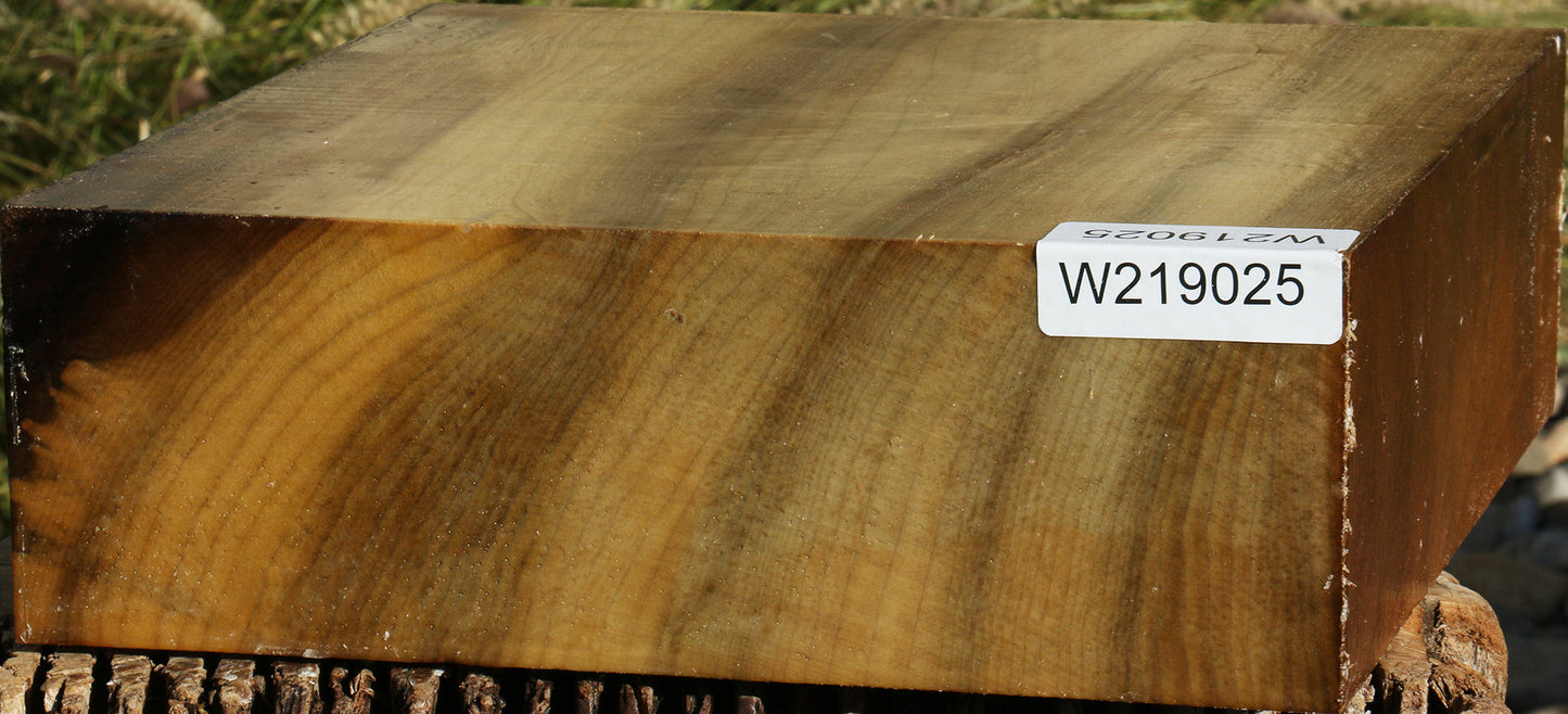 Figured Gold Myrtle Bowl Blank