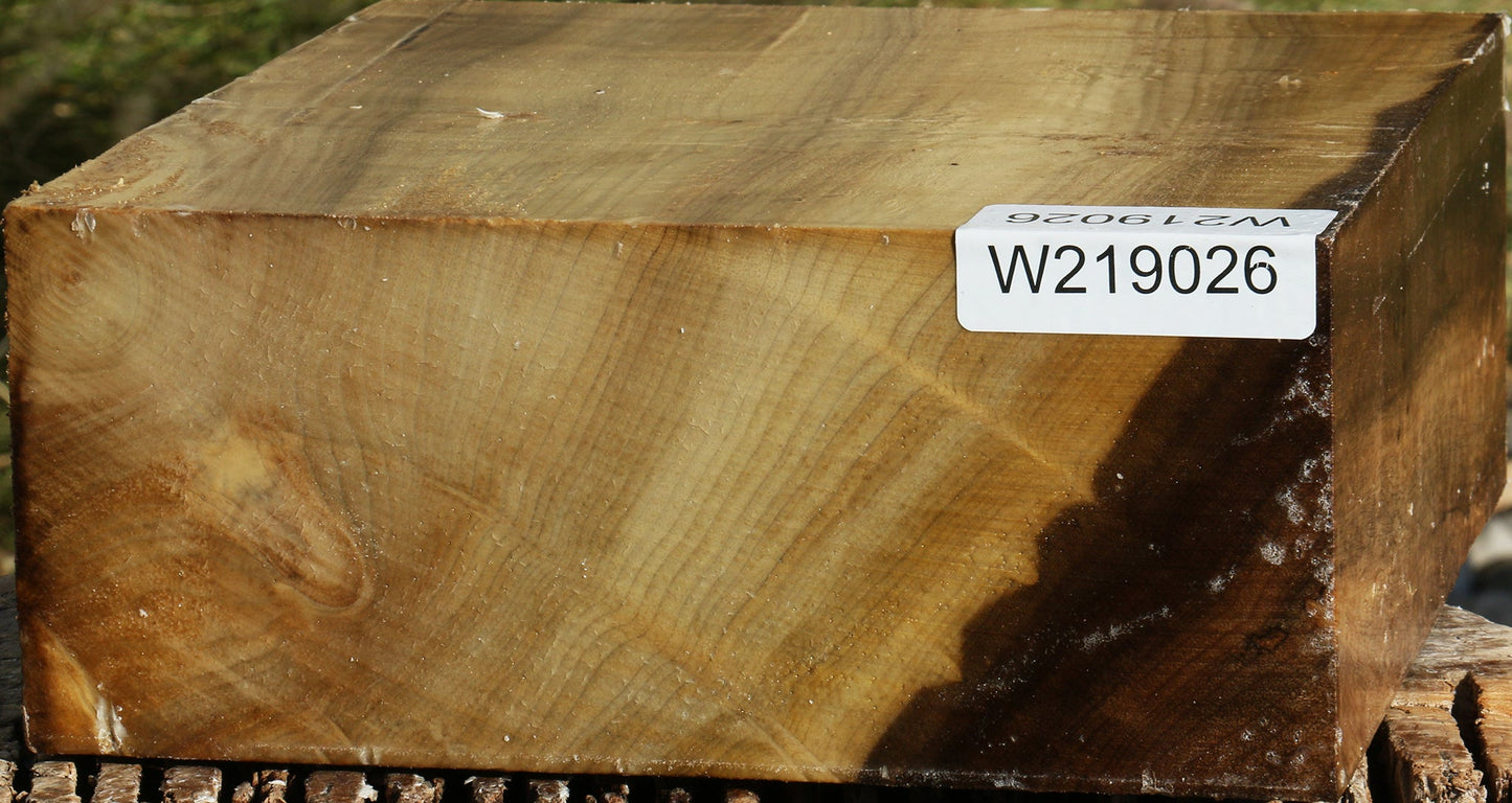 Figured Gold Myrtle Bowl Blank