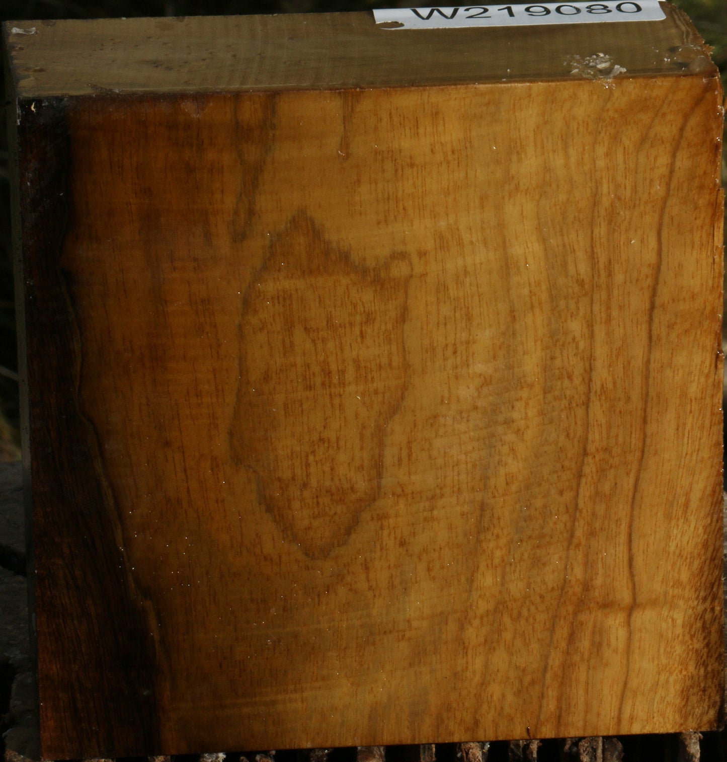 Figured Gold Myrtle Bowl Blank