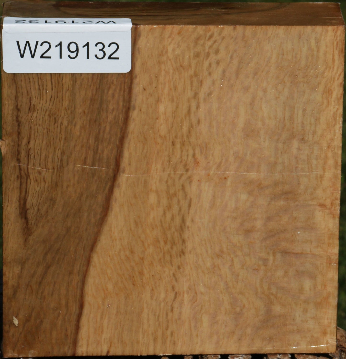 Figured Cork Oak Bowl Blank