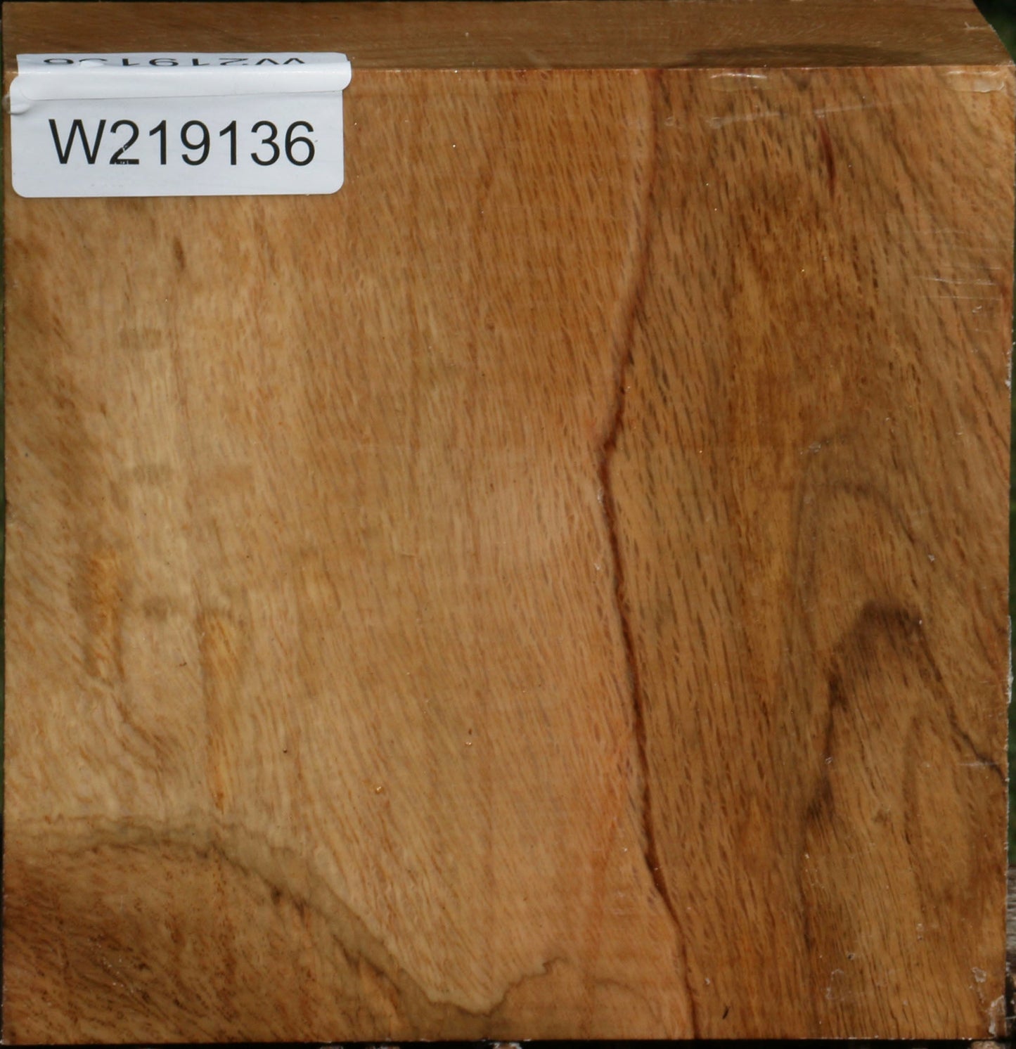 Figured Cork Oak Bowl Blank