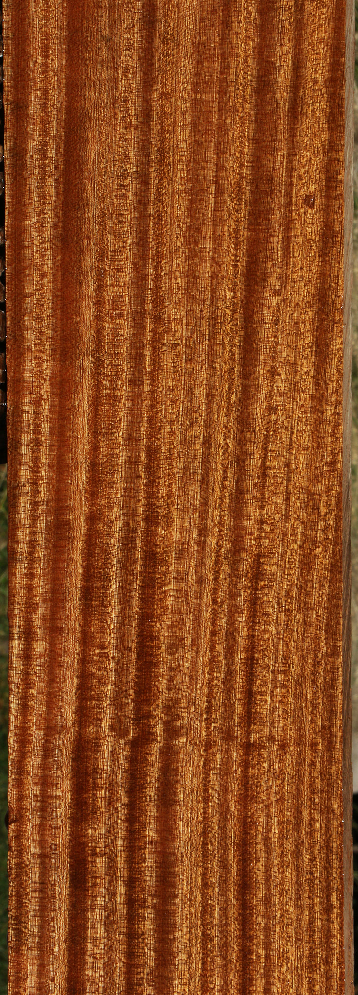 Ribbon Figured Sapele Lumber