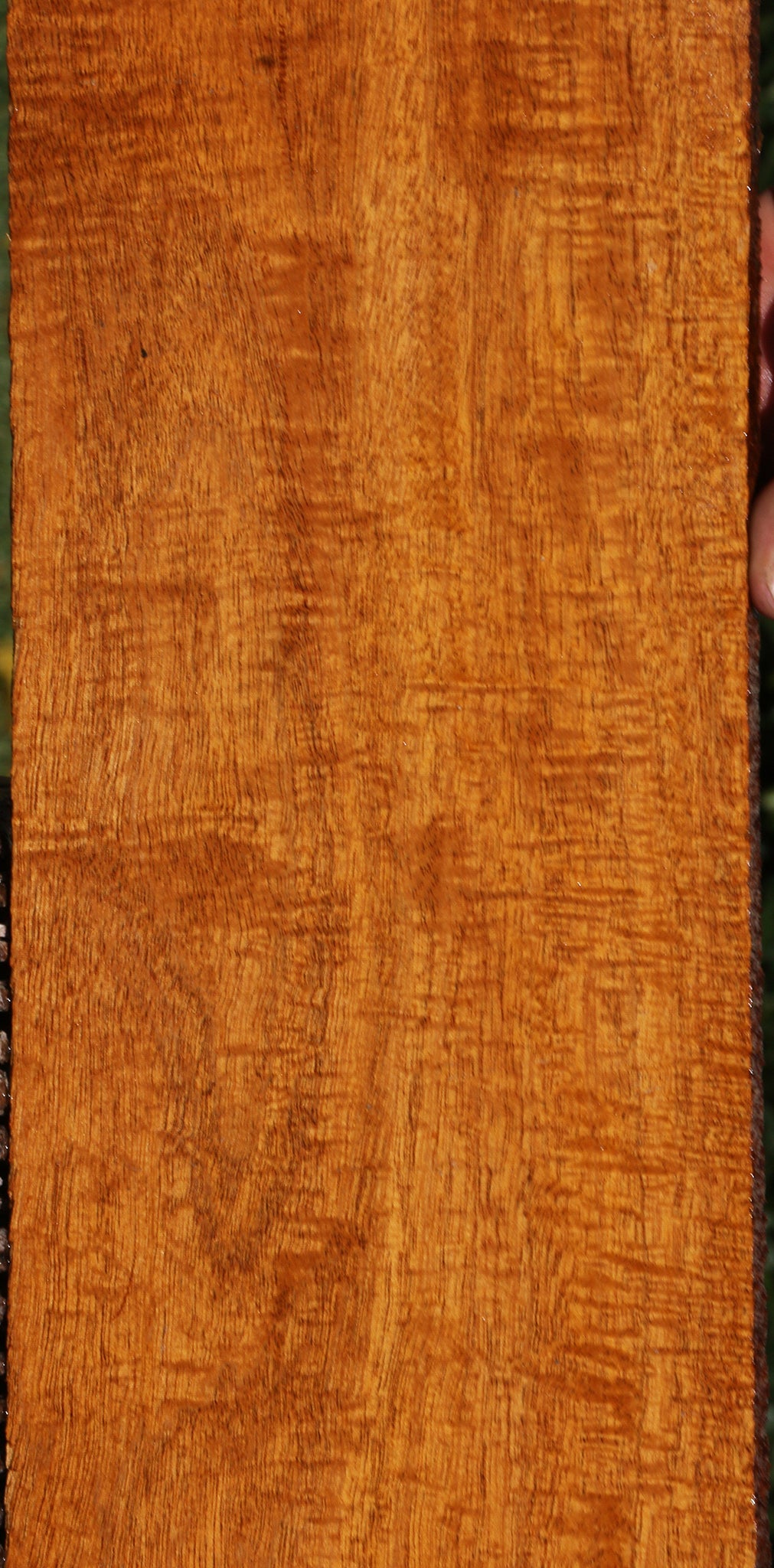 Extra Fancy Fiddleback Honduras Mahogany Lumber