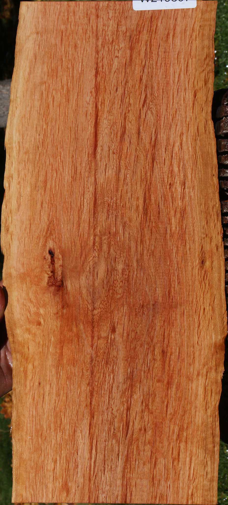 Beefwood Live Edge Lumber