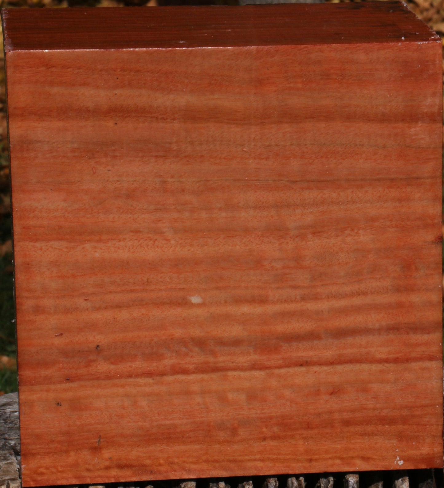 Extra Fancy Red Ironbark Bowl Blank
