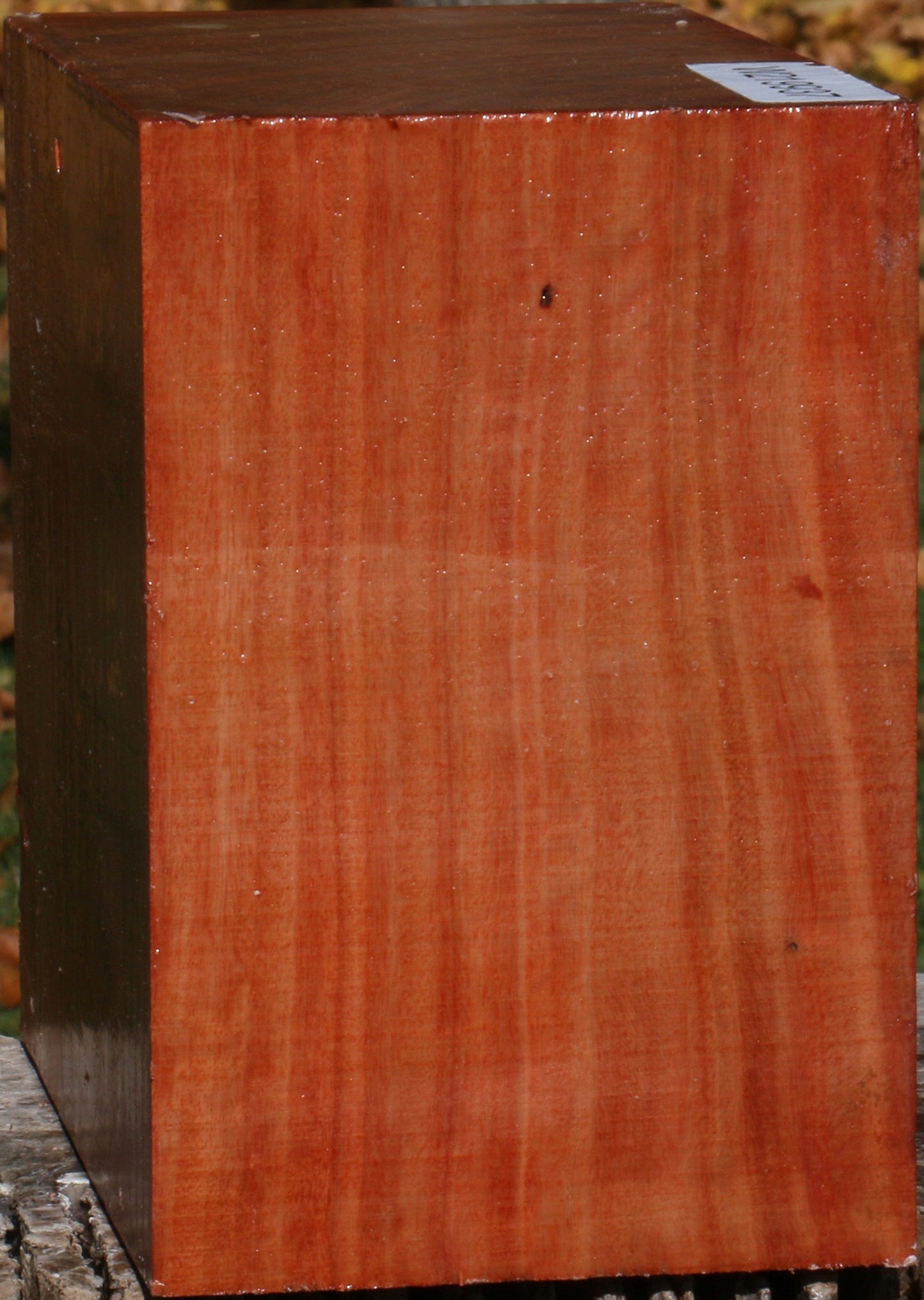 Extra Fancy Red Ironbark Bowl Blank