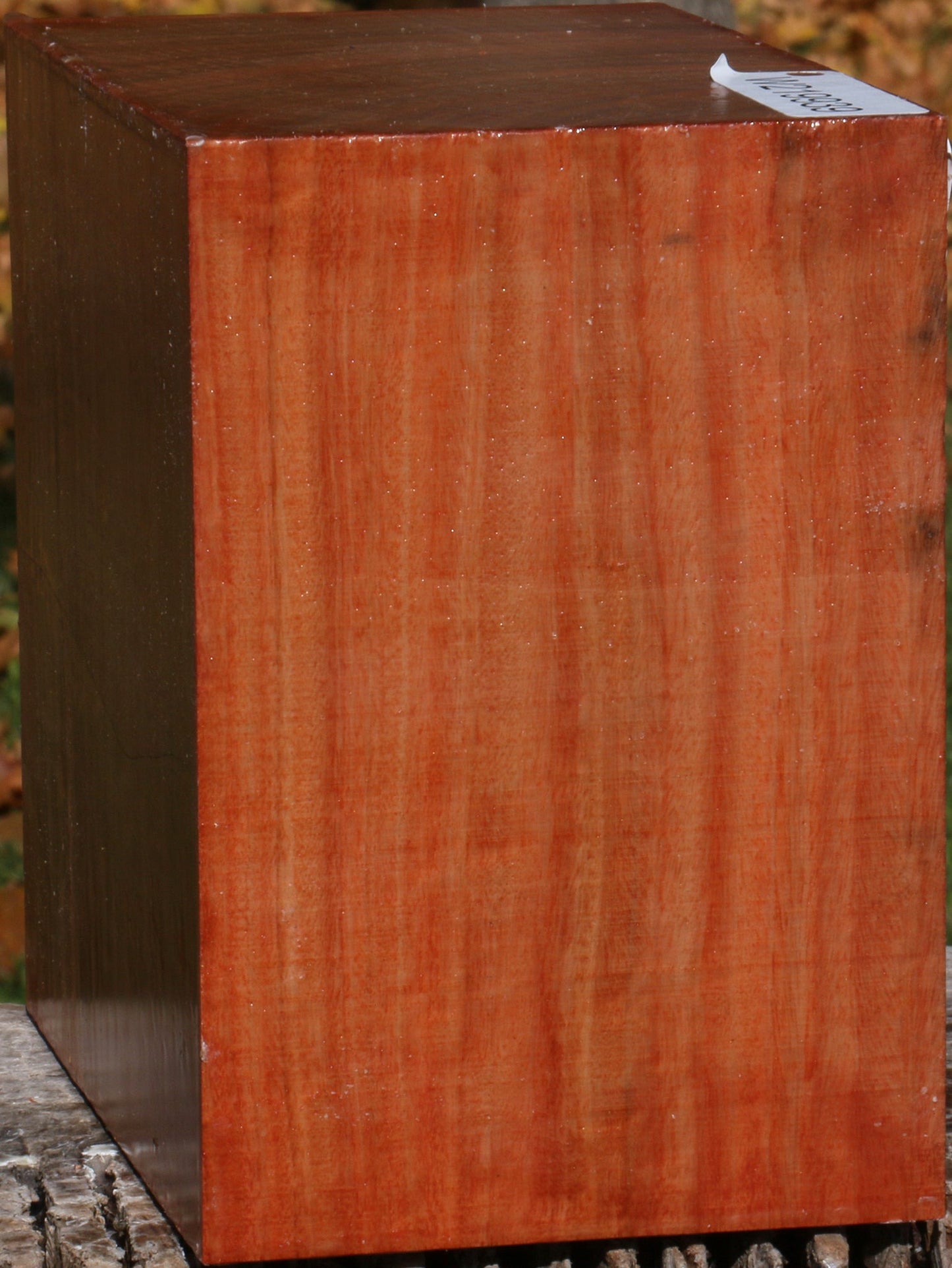 Extra Fancy Red Ironbark Bowl Blank