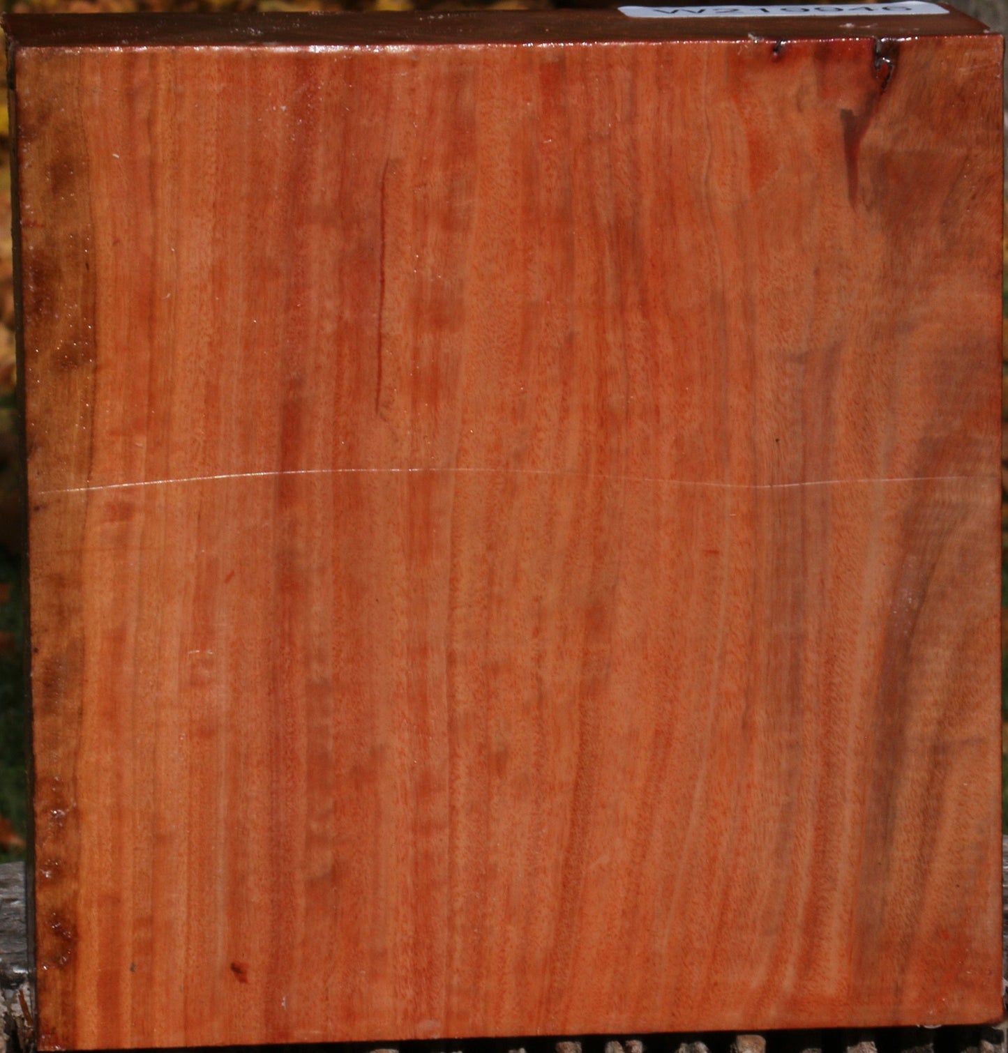 Extra Fancy Red Ironbark Bowl Blank