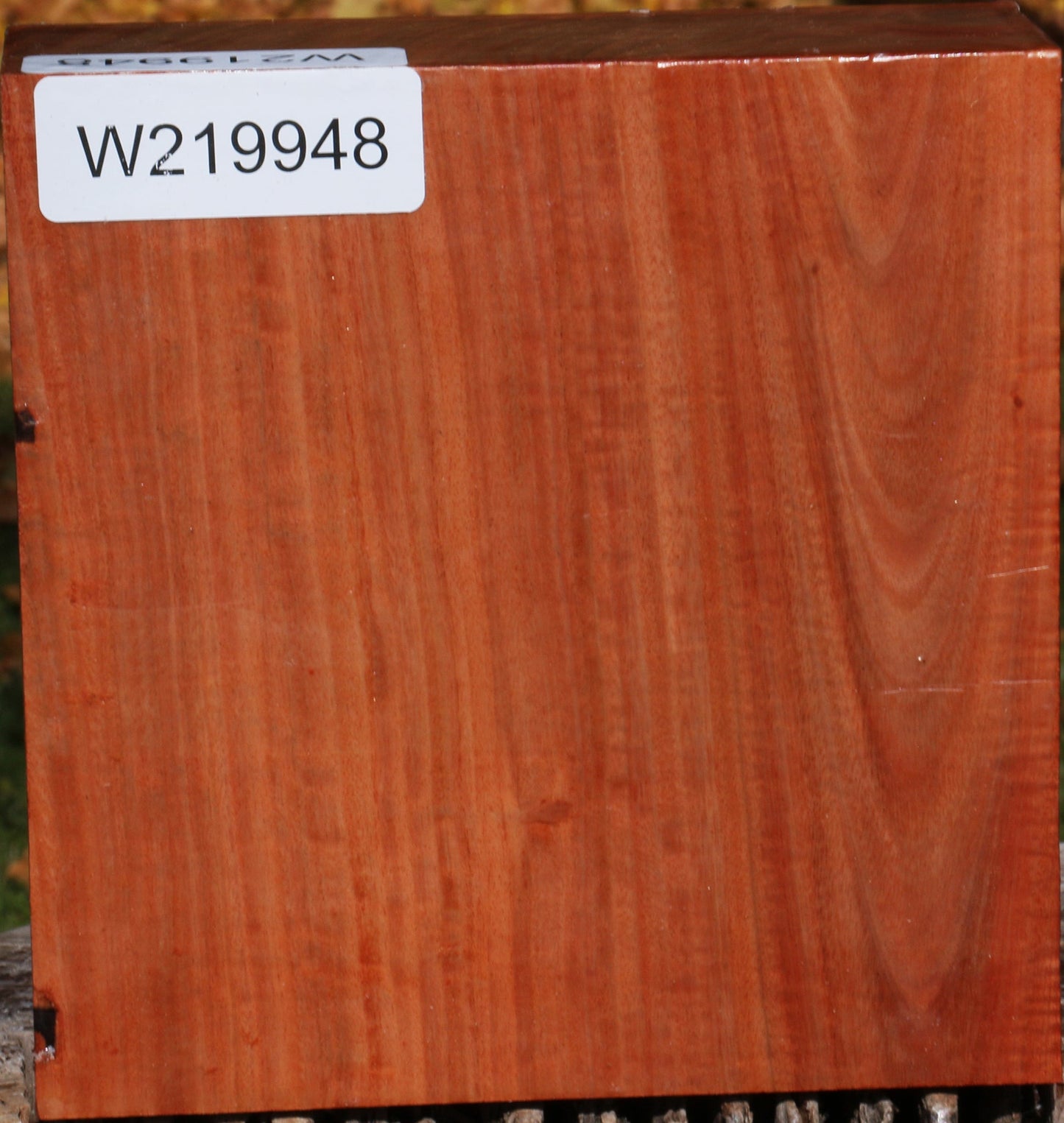 Extra Fancy Red Ironbark Bowl Blank