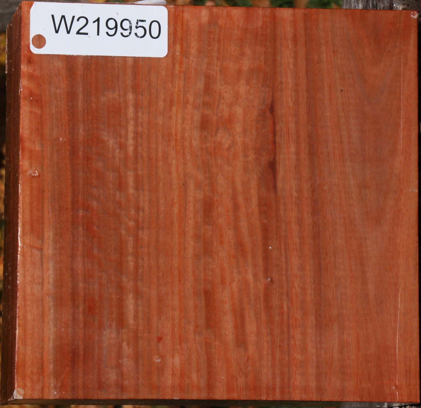 Extra Fancy Red Ironbark Bowl Blank