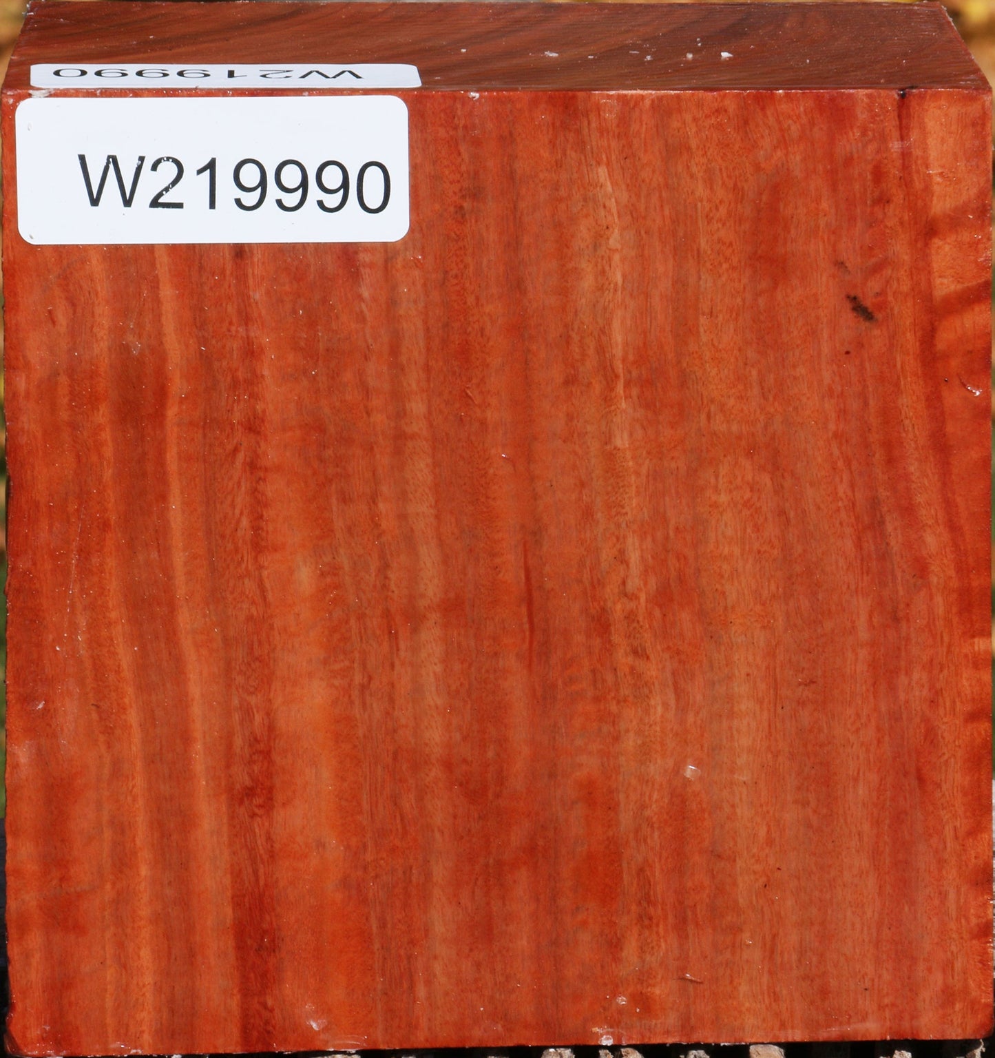 Extra Fancy Red Ironbark Bowl Blank