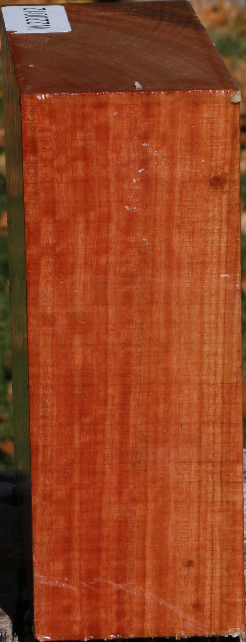 Extra Fancy Red Ironbark Bowl Blank