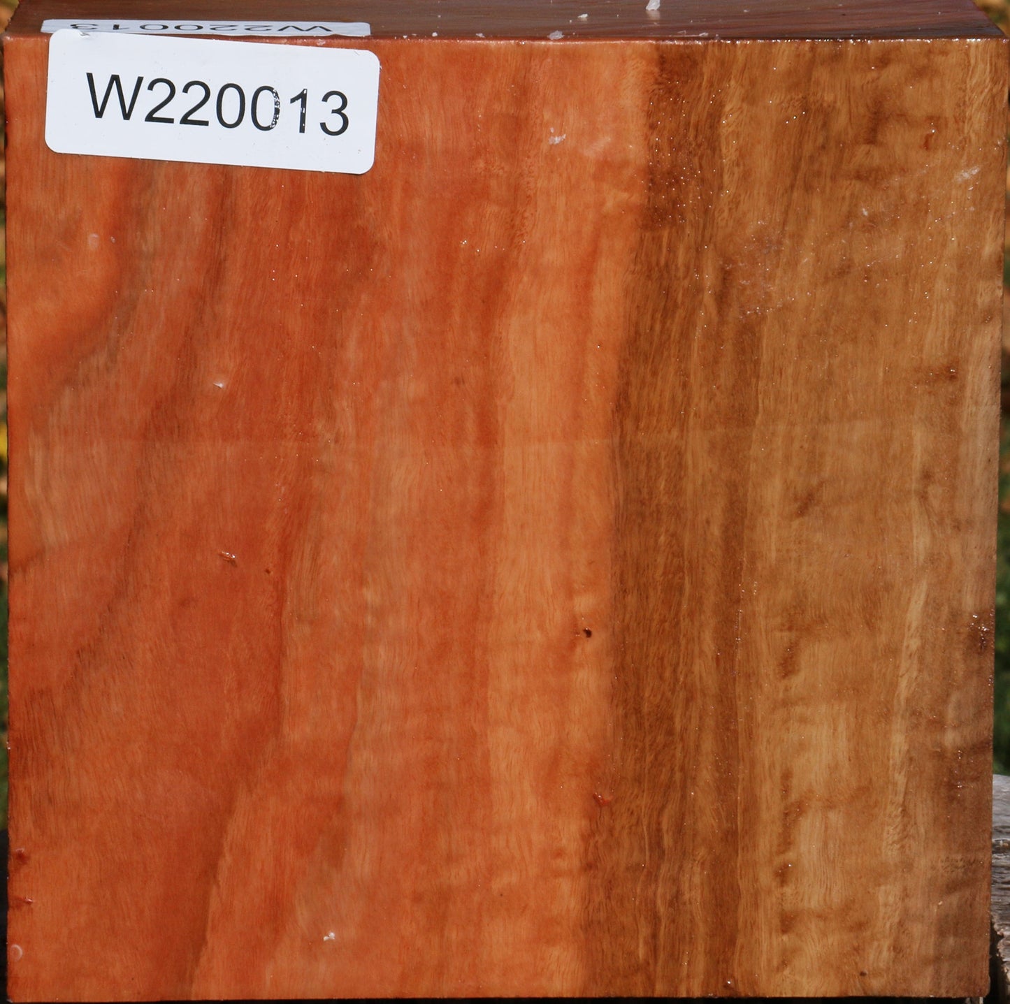 Extra Fancy Red Ironbark Bowl Blank