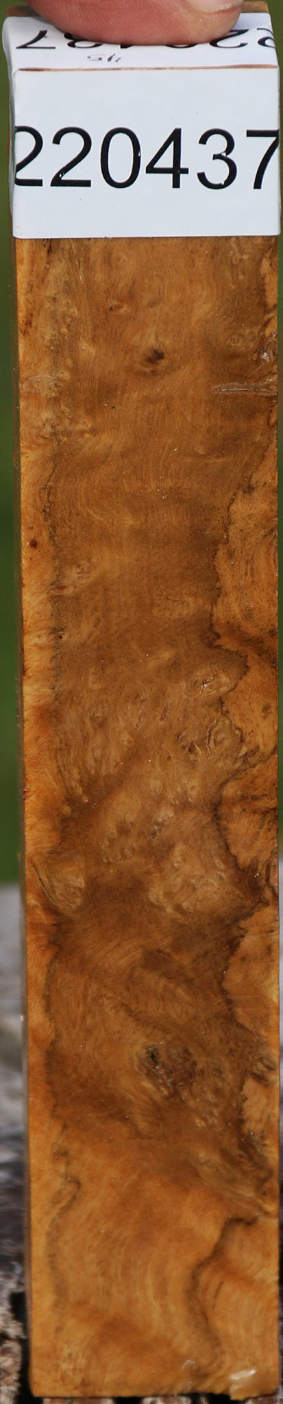 Hopea Stone Burl Turning Blank