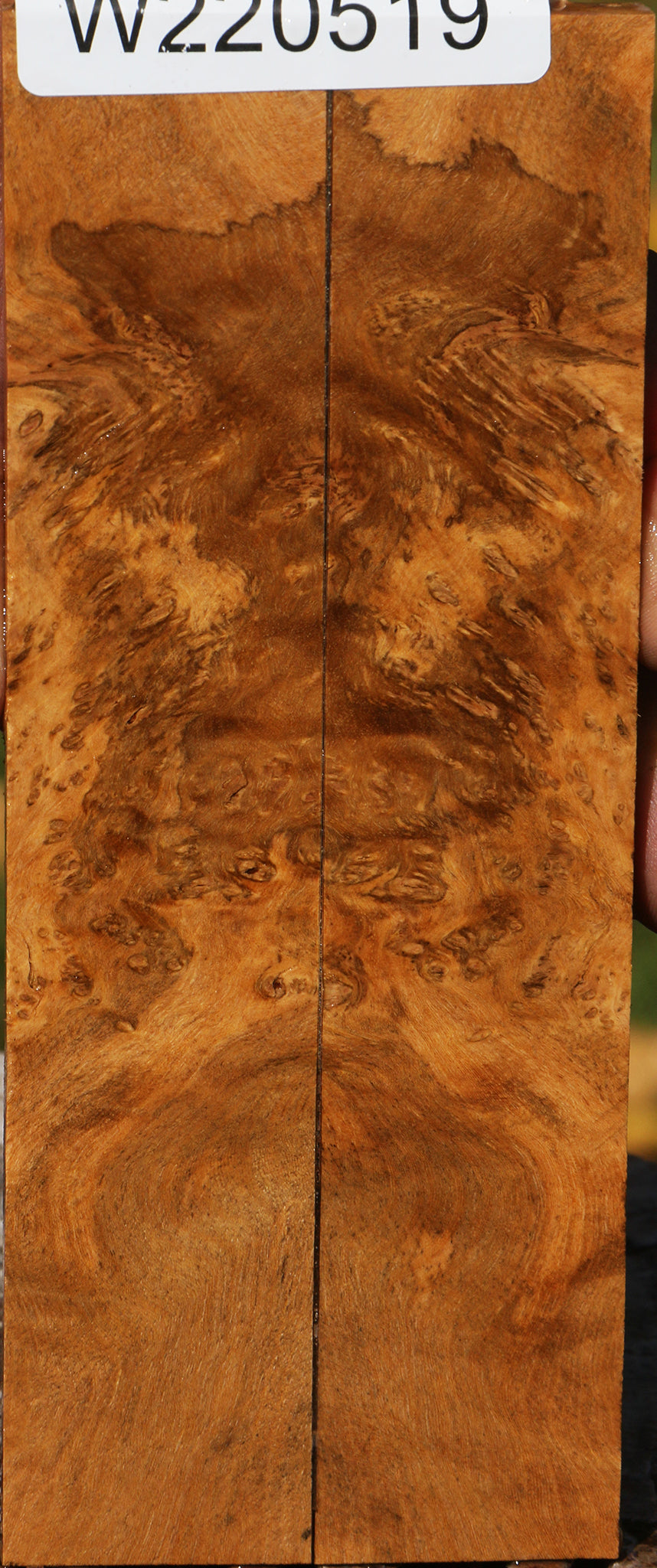 Hopea Stone Burl Knife Scales