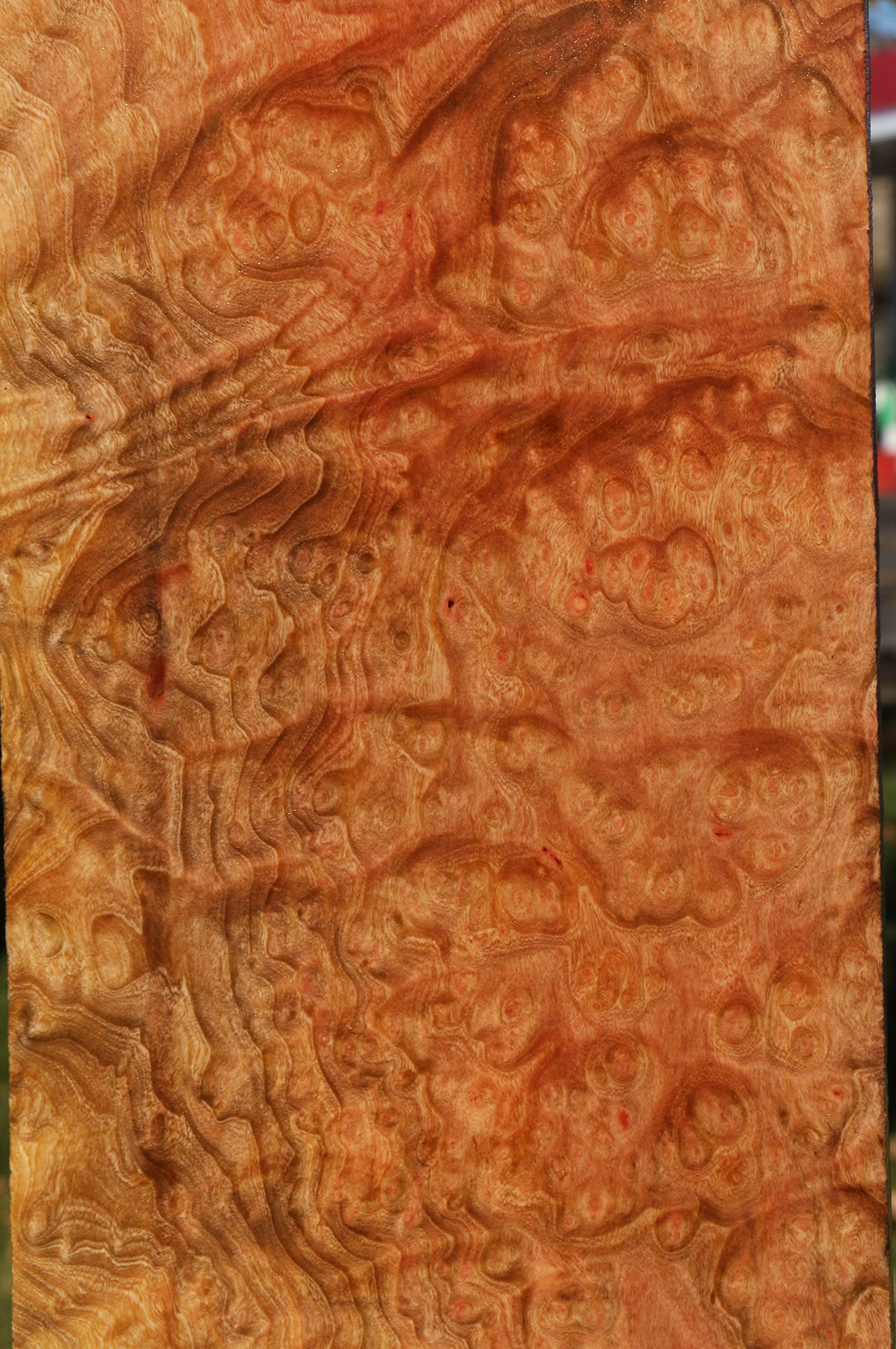 Madrone Burl Lumber