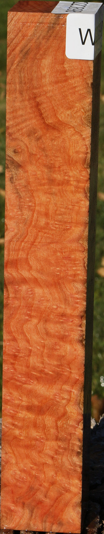 Madrone Burl Turning Square