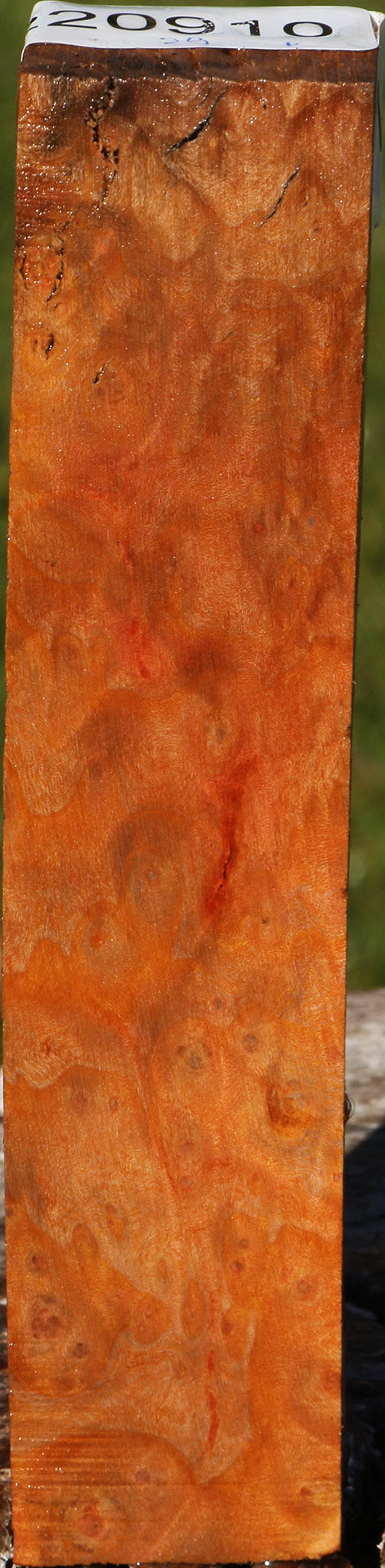 Madrone Burl Turning Square