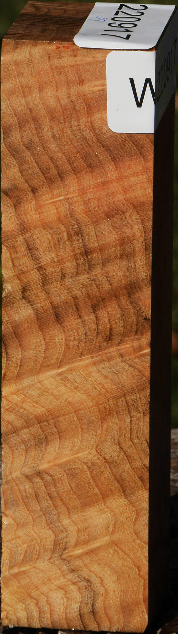 Madrone Burl Turning Square