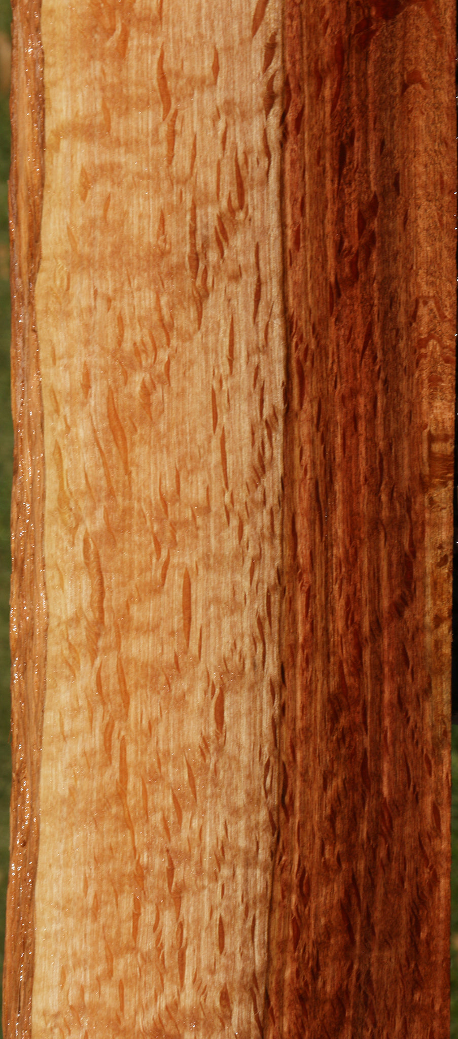 Beefwood Live Edge Micro Lumber