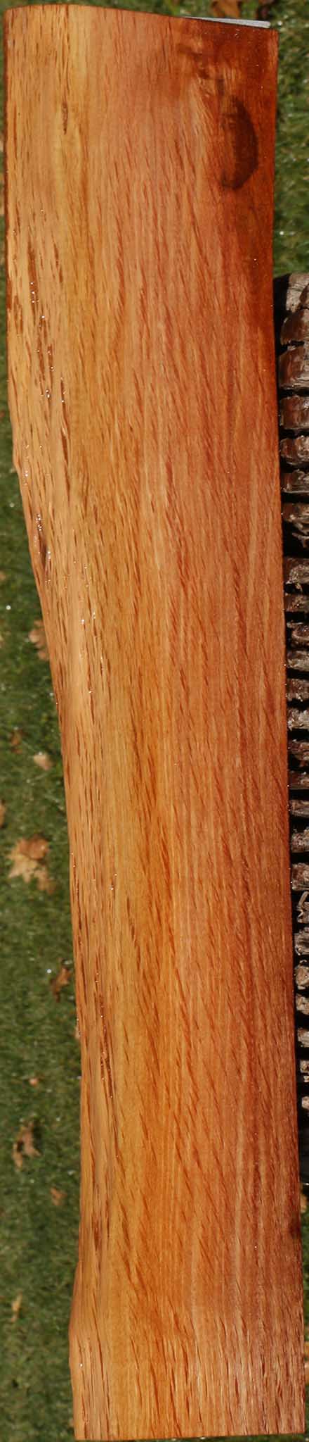 Beefwood Live Edge Lumber