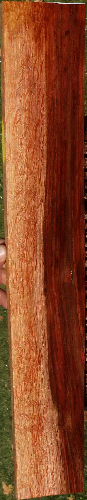 Beefwood Micro Lumber