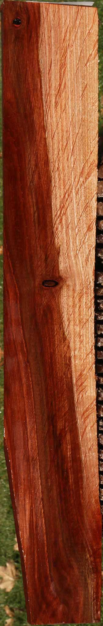 Beefwood Micro Lumber