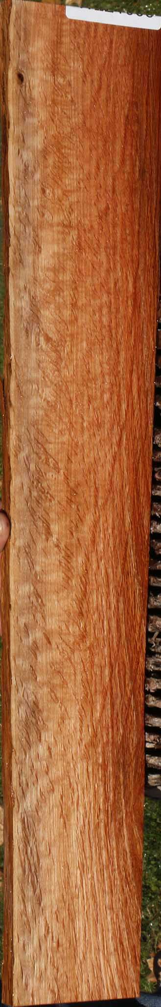 Beefwood Live Edge Micro Lumber