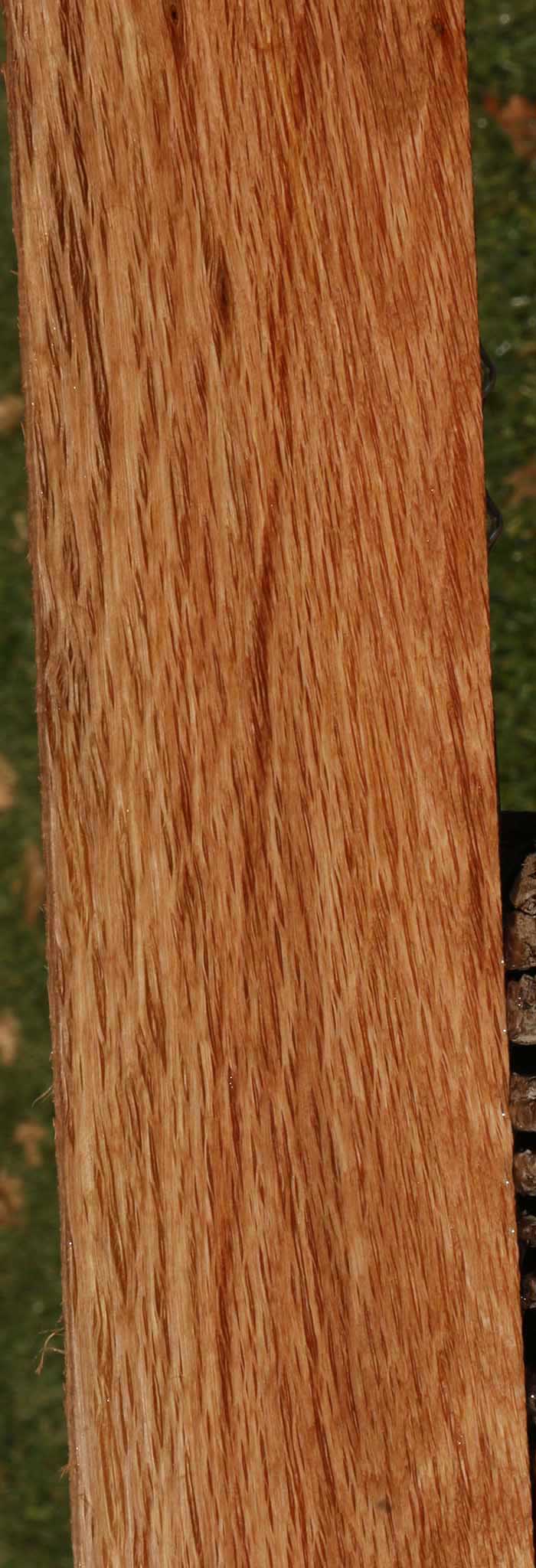 Beefwood Micro Lumber