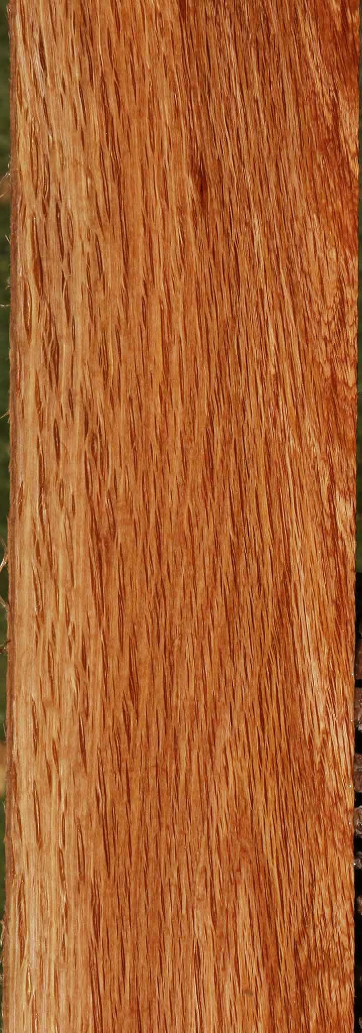 Beefwood Micro Lumber